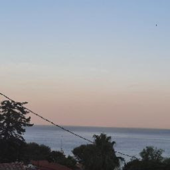 Meet your Posher, Manon - Picture 1 of 1